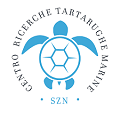 tartaruga